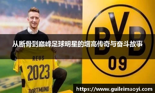 竞技宝JJB